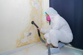 Best Mold Odor Removal Services in White Pine, TN